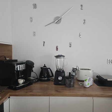 טרנובסקי גאורי Apartament Przy Kopalni Srebra מראה חיצוני תמונה