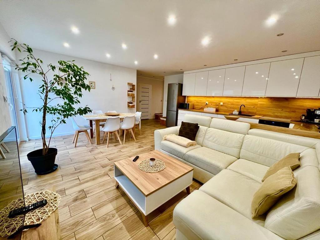 טרנובסקי גאורי Apartament Przy Kopalni Srebra מראה חיצוני תמונה