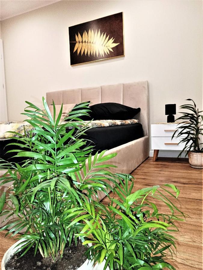 טרנובסקי גאורי Apartament Przy Kopalni Srebra מראה חיצוני תמונה