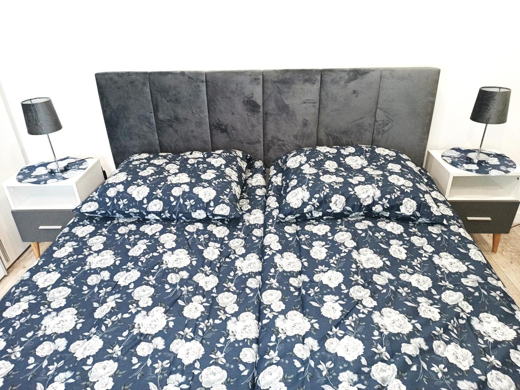 טרנובסקי גאורי Apartament Przy Kopalni Srebra מראה חיצוני תמונה