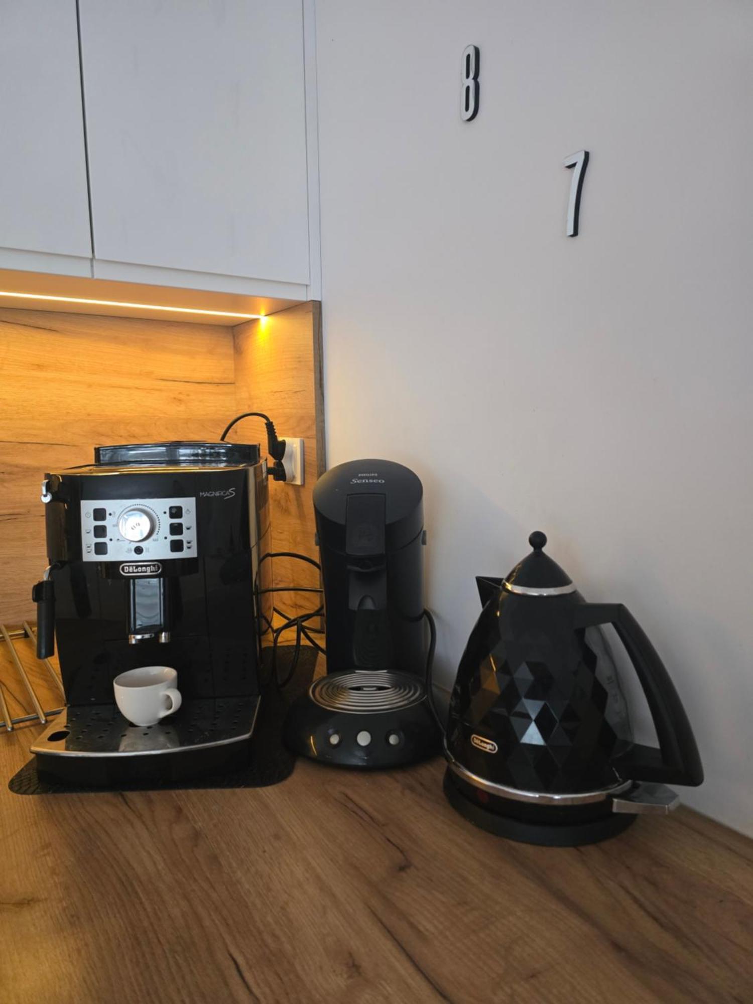 טרנובסקי גאורי Apartament Przy Kopalni Srebra מראה חיצוני תמונה